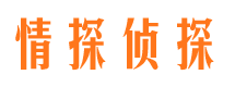 江汉市私人调查